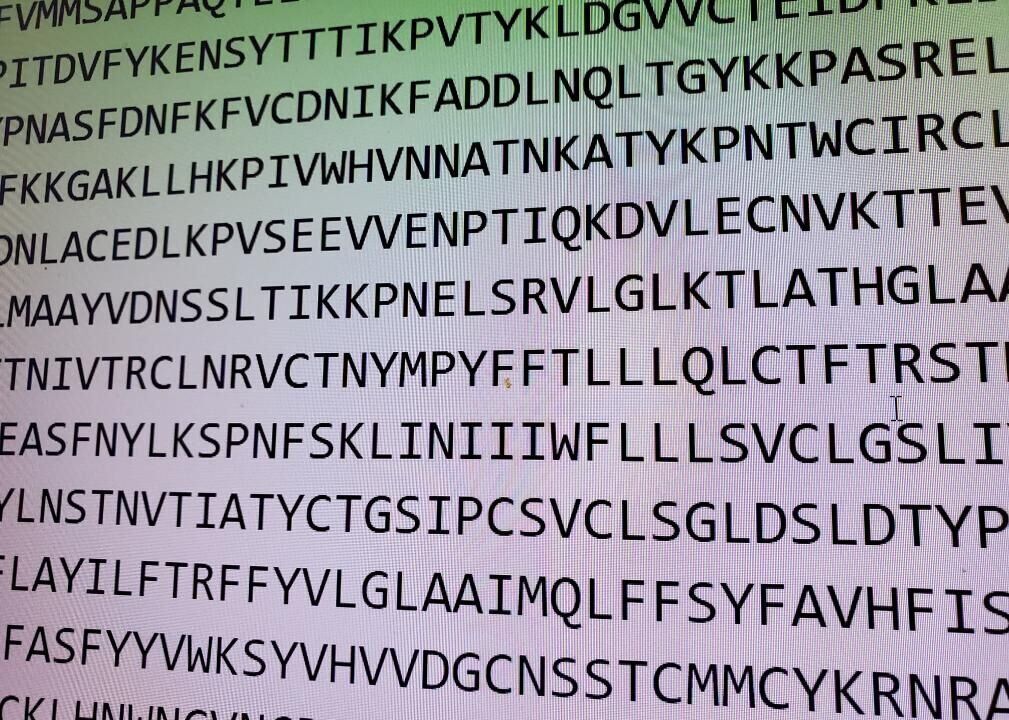 January 2020: SARS-CoV-2 sequence is made public